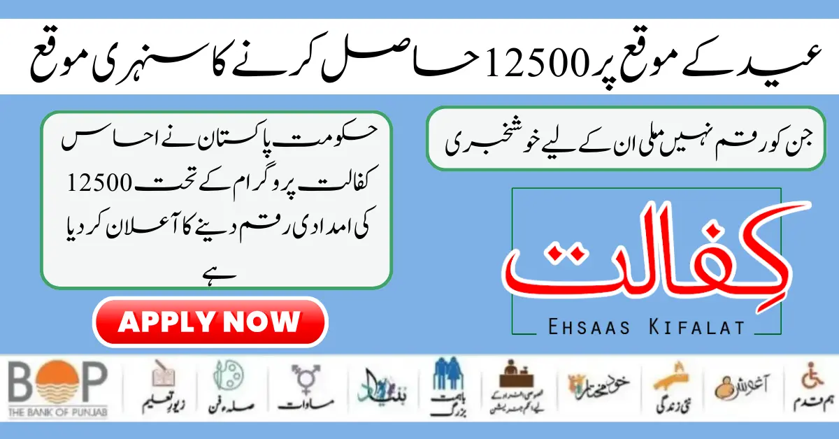 How to Check Eligibility Status 12500 Benazir Kafalat Program 