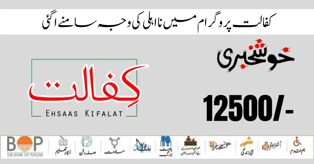 Benazir Kafalat Program New Payment 12500 Start Ineligible Persons