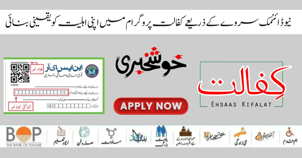 Dynamic Survey Online Registration Start 12500 Benazir Kafalat Program
