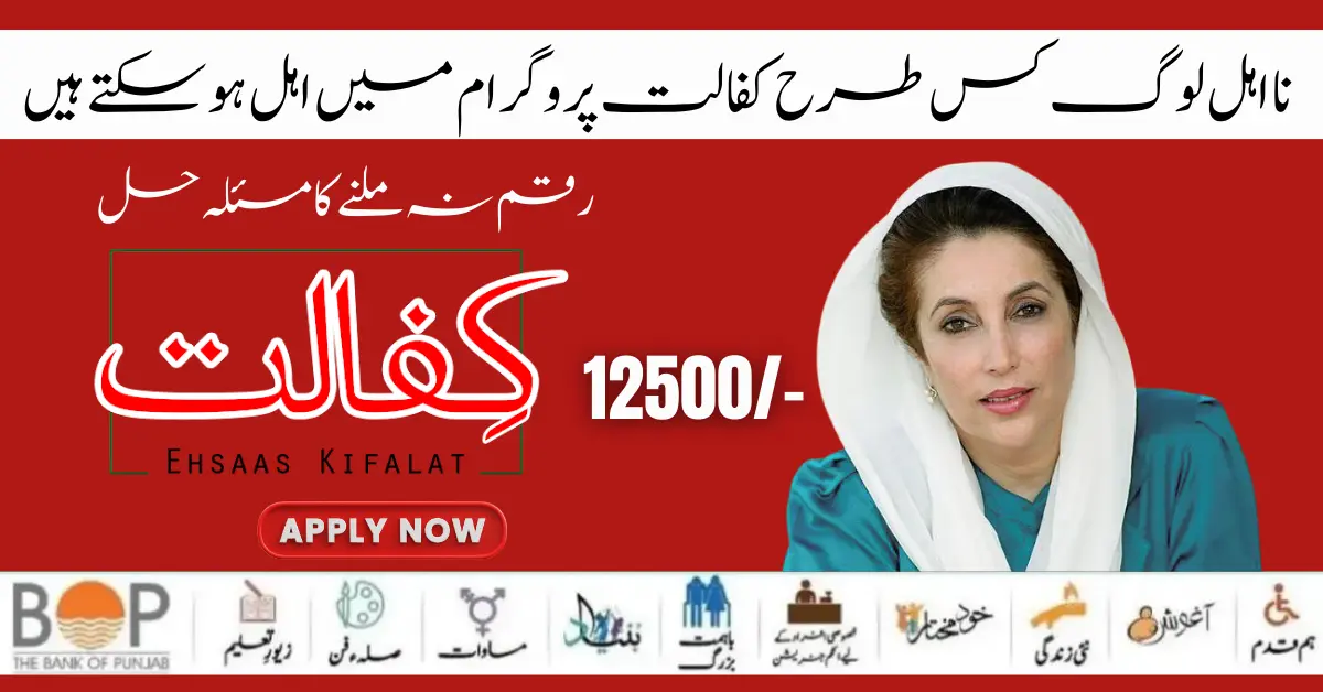 Benazir Kafaalat Program New 8171 Web Portal For Online Registration Start 