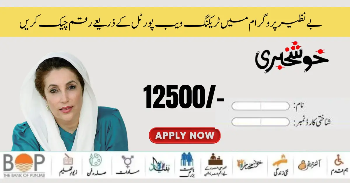 Benazir Tracking 8171 Web Portal  Account Balance Check By CNIC