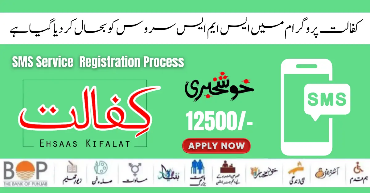 Benazir 8171 Kafalat Program  SMS Service Registration Process Start 2024