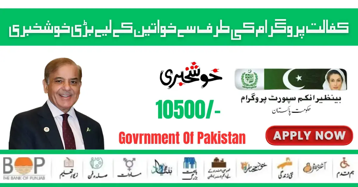 Government Of Pakistan 8171 Ehsaas Program 25000 New Payment Start 