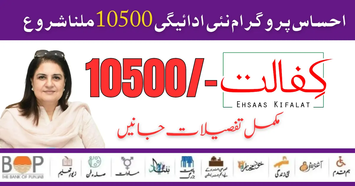 Online NSER Registration Check By CNIC For Latest Ehsaas 10500 Payment