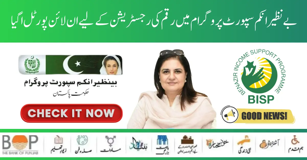 Benazir Income Support Program 10500 Online Registration By 8171 Web Portal