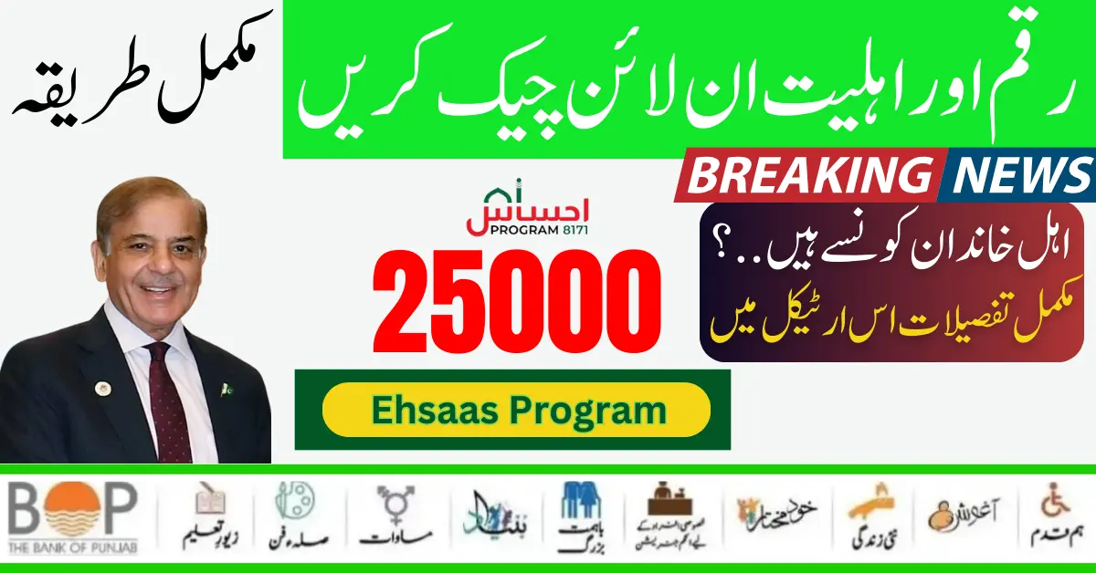 8171 Ehsaas Program BISP Portal Check CNIC Online Eligibility & Payment