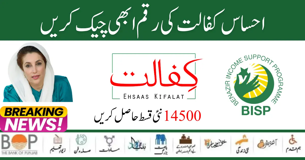 8171 Ehsaas Kafaalat 14500 Payment Check Online Through Portal Form