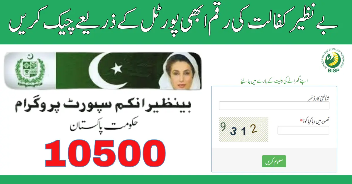 BISP 8171 Web Portal Form Check Payment And Eligibility 2024